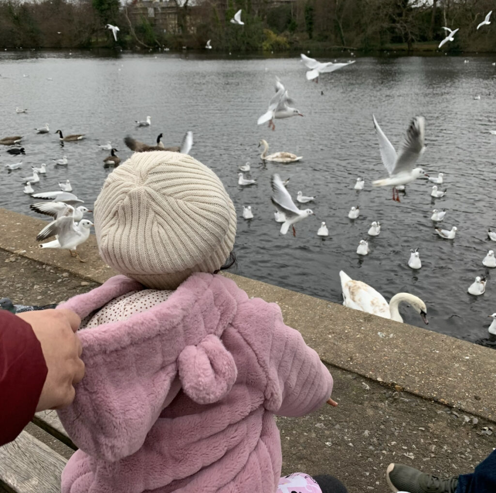Feeding the ducks in January 